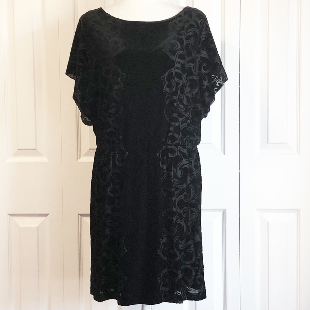 White House Black Market Black Velvet Burnout Flutter Sleeve Dress Medium